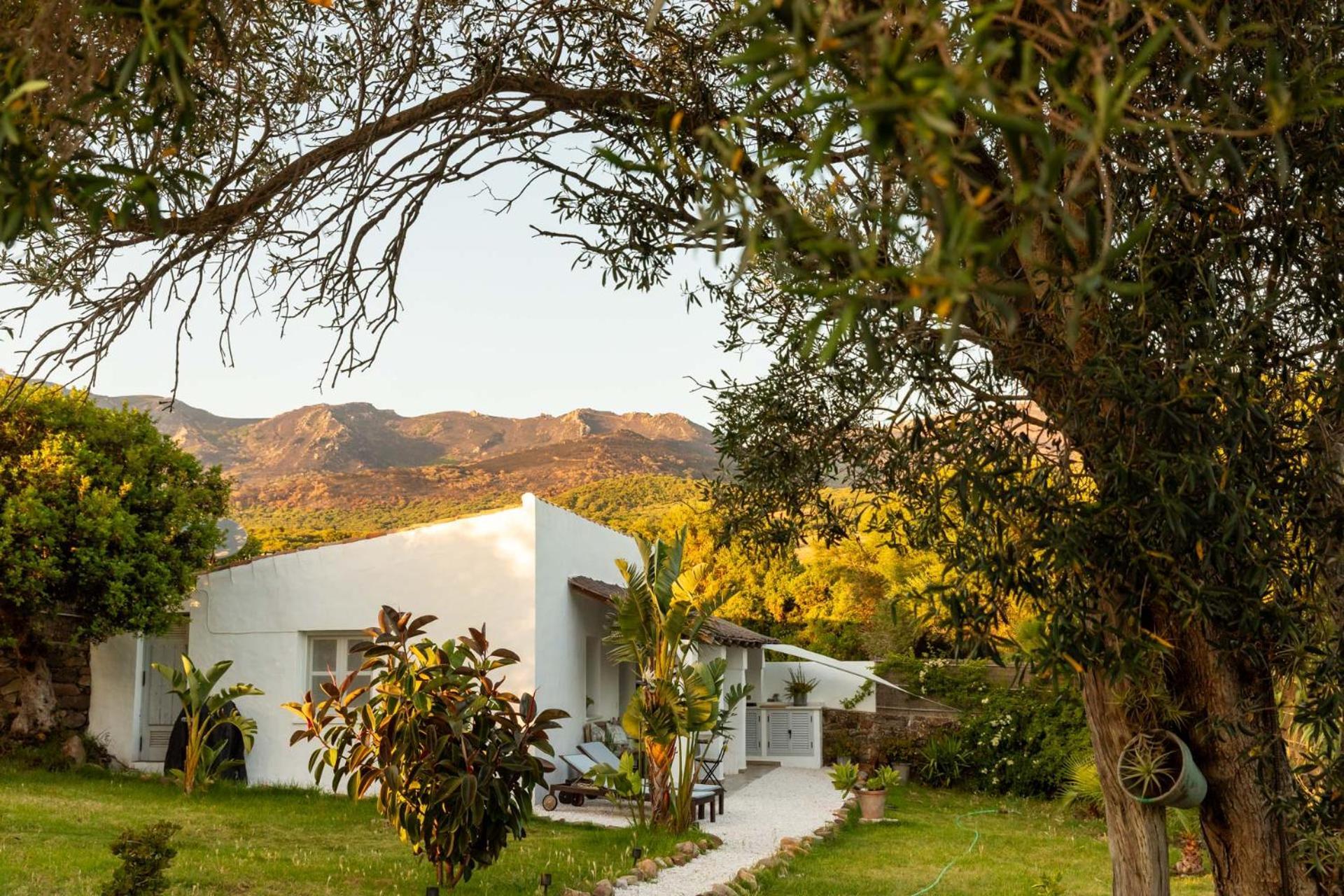 Casa Venadita 1 Apartment Tarifa